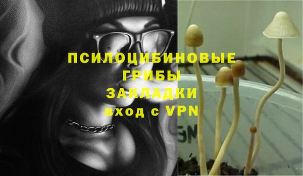 ГАЛЛЮЦИНОГЕННЫЕ ГРИБЫ Бугульма