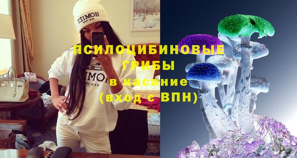 винт Бородино