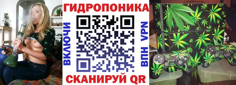 Конопля Bruce Banner Северск